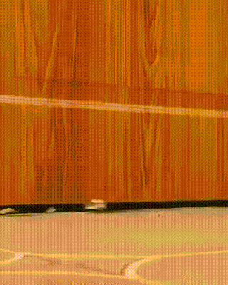 Tope Anti-Insectos Bajo Puerta